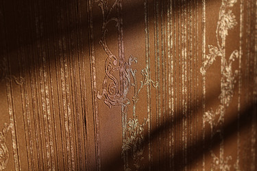 Similar image 22024941