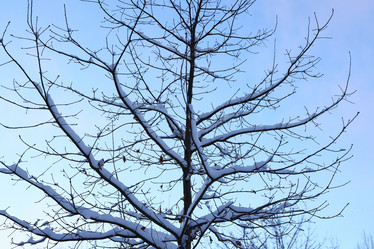 Similar image 22024951