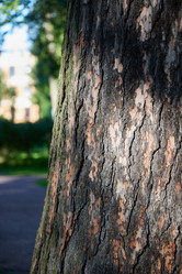 Similar image 22024952