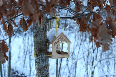 Similar image 22024956