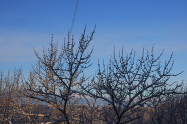 Similar image 22024290