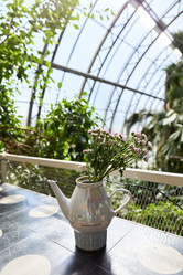 Similar image 22024296