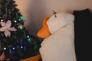 Similar image 22024298