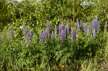 Similar image 22024299