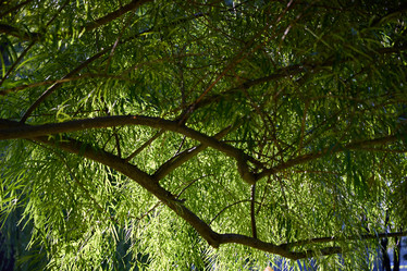 Similar image 22024301