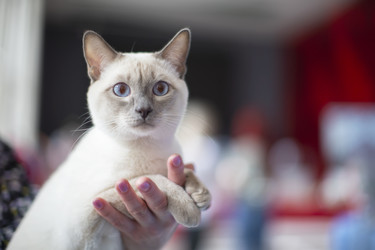 Similar image 22049326