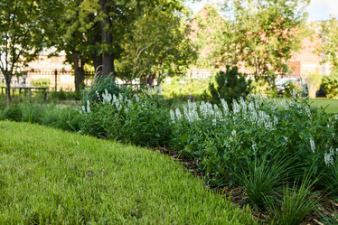 Similar image 22024748