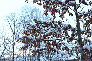 Similar image 22024969