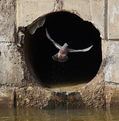 Similar image 22028034