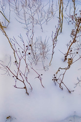 Similar image 22031999