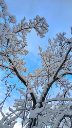 Similar image 22032004