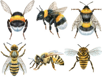 Similar image 22044958