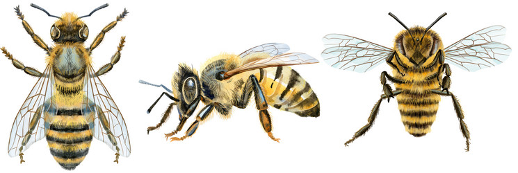 Similar image 22044959