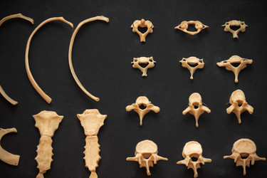 Similar image 22049333