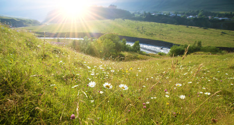 Similar image 22049340