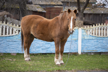 Similar image 22049351