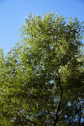 Similar image 22024763