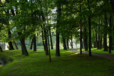 Similar image 22024773