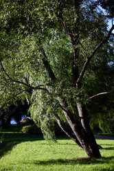 Similar image 22024777