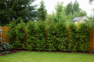 Similar image 22024785