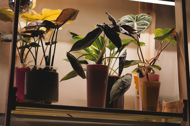 Similar image 22024793