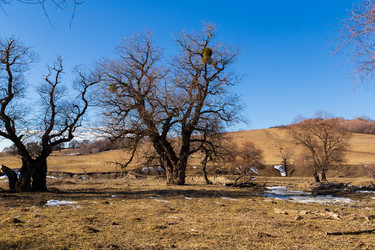 Similar image 22030775