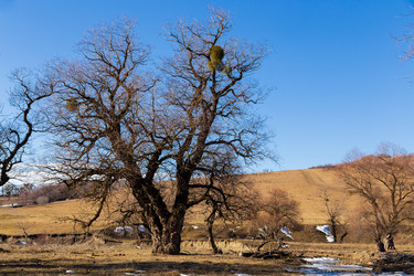 Similar image 22030776