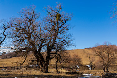 Similar image 22030777