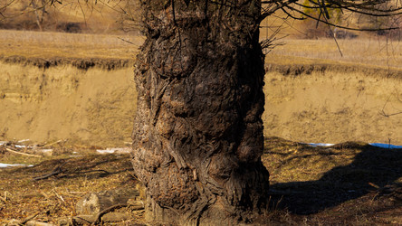 Similar image 22030778