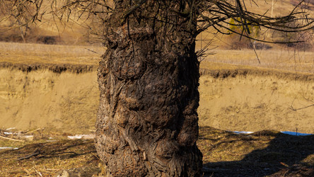 Similar image 22030779