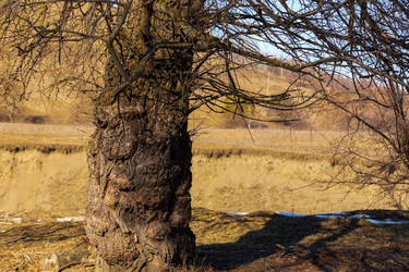 Similar image 22030780