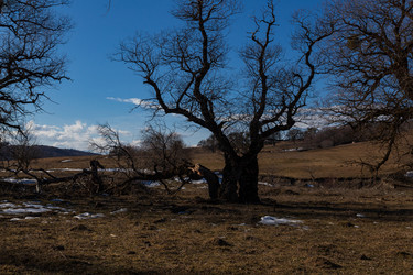 Similar image 22030781