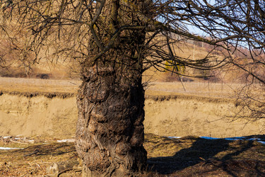 Similar image 22030782