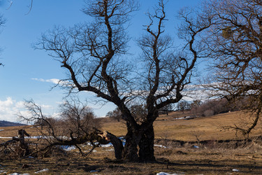 Similar image 22030783