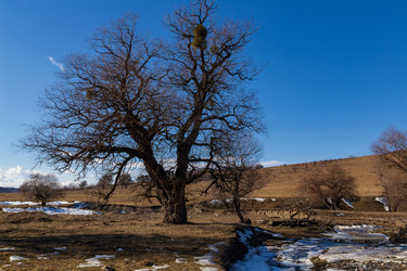 Similar image 22030784