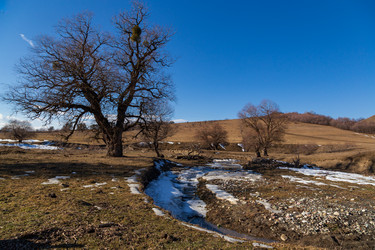 Similar image 22030787