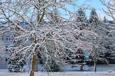 Similar image 22024803