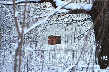 Similar image 22024816