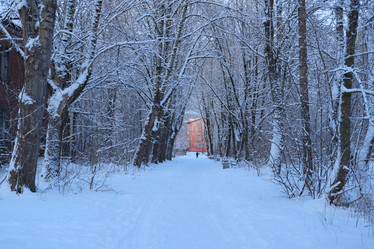 Similar image 22024820