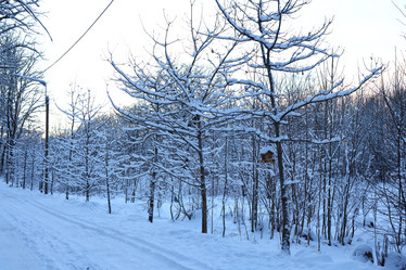 Similar image 22024821