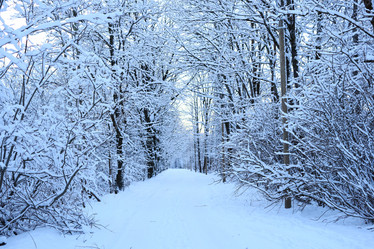 Similar image 22024984