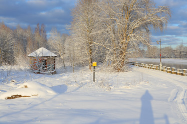 Similar image 22024991