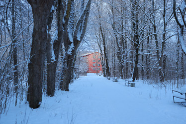 Similar image 22024997