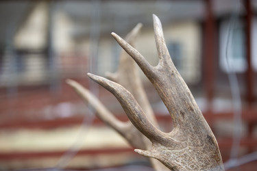 Similar image 22049354