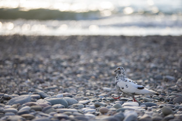 Similar image 22049356