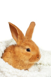 Similar image 22049364