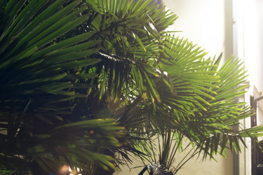 Similar image 22049368