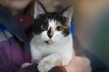 Similar image 22049370