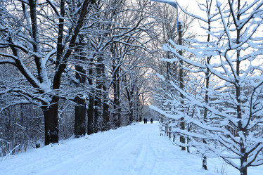 Similar image 22024171