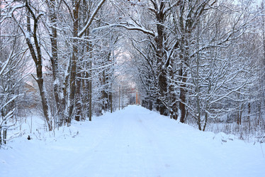 Similar image 22024314